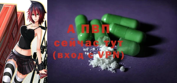 соль ск Вяземский