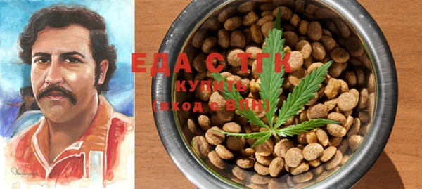 молекула духа Вязьма