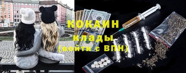 соль ск Вяземский
